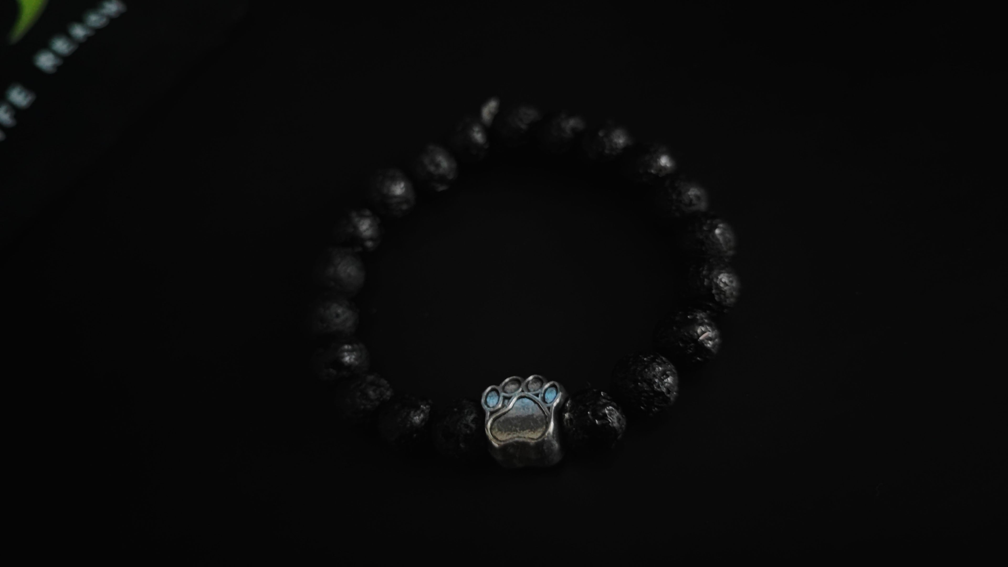 Live Tracking Bear Bracelet